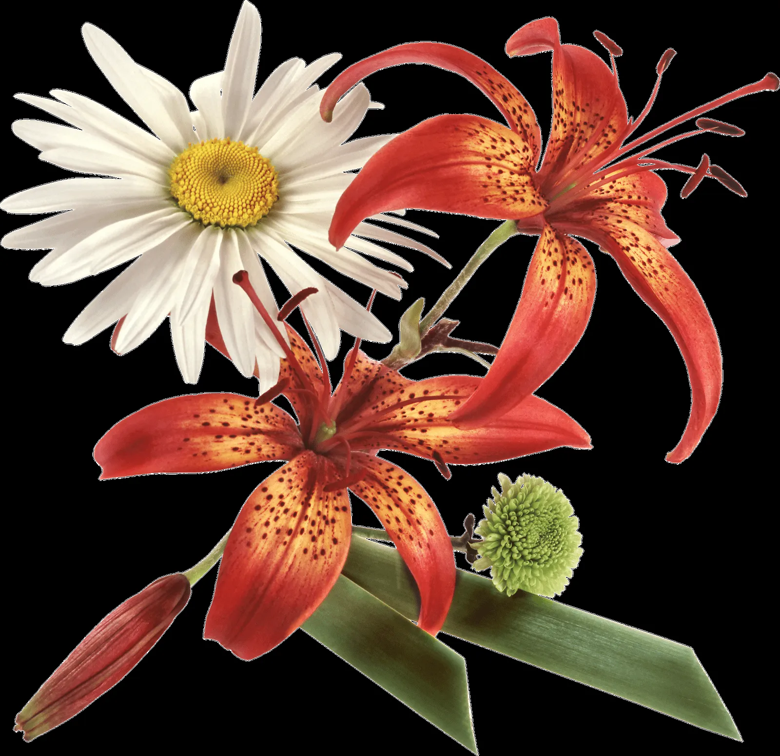 MARCOS GRATIS PARA FOTOS: FLORES PNG, RENDERS DE FLORES, MARCOS GRATIS PARA FOTOS: FLORES PNG, RENDERS DE FLORES,