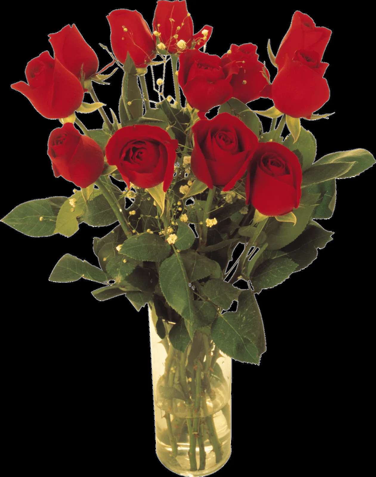 MARCOS GRATIS PARA FOTOS: FLORES, ROSAS ROJAS PNG.. MARCOS GRATIS PARA FOTOS: FLORES, ROSAS ROJAS PNG..