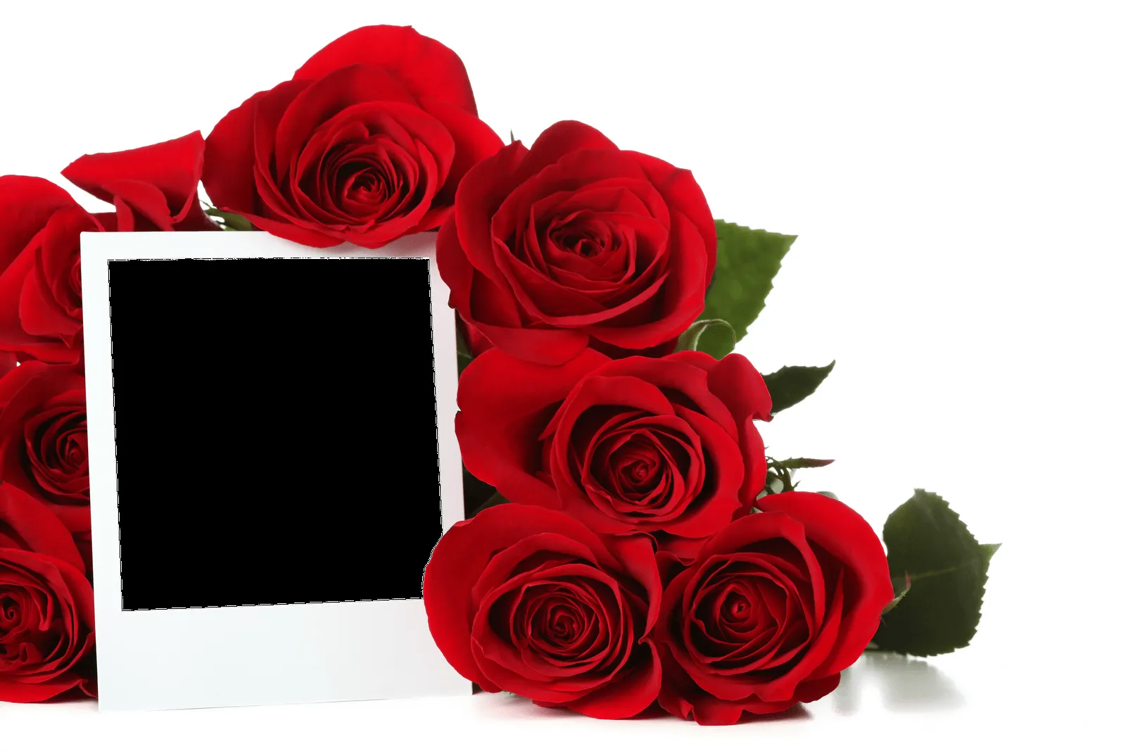 MARCOS GRATIS PARA FOTOS: MARCOS PNG Y JPG FLORALES MARCOS GRATIS PARA FOTOS: MARCOS PNG Y JPG FLORALES
