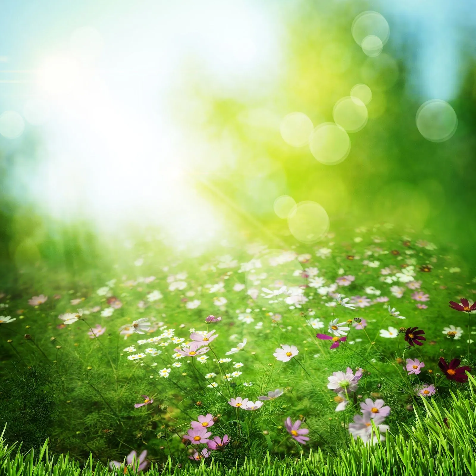 MARCOS GRATIS PARA FOTOS: WALLPAPER JPG, BUENA CALIDAD