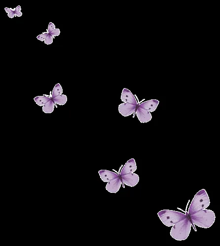 Fondos de invitaciónes de 15 años de mariposas - Imagui Fondos de invitaciónes de 15 años de mariposas - Imagui