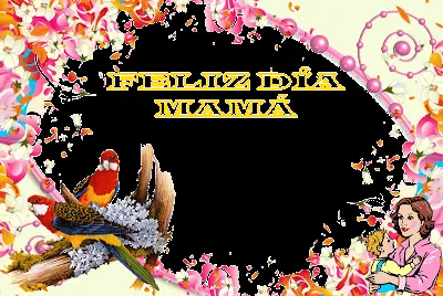 MARCOS PHOTOSCAPE: MARCOS PhotoScape DIA DE LA MADRE 14