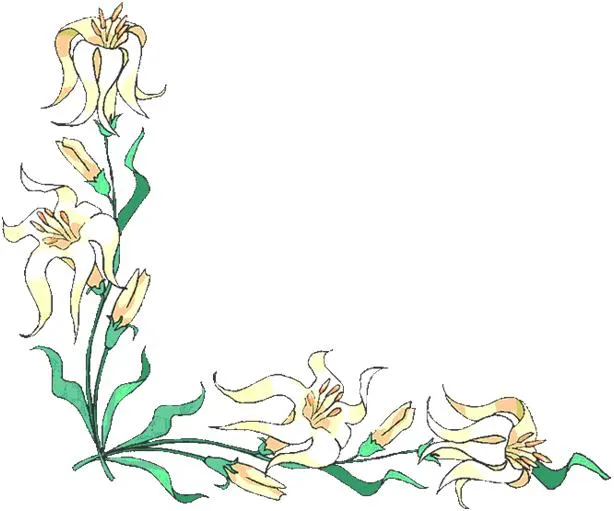 Imágenes de carátulas de flores - Imagui