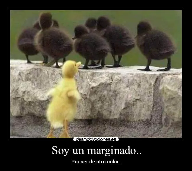 Soy un marginado.. | Desmotivaciones