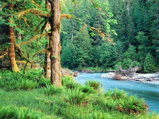 MariaJose: Fondos de pantalla con bellos rincones de la naturaleza MariaJose: Fondos de pantalla con bellos rincones de la naturaleza