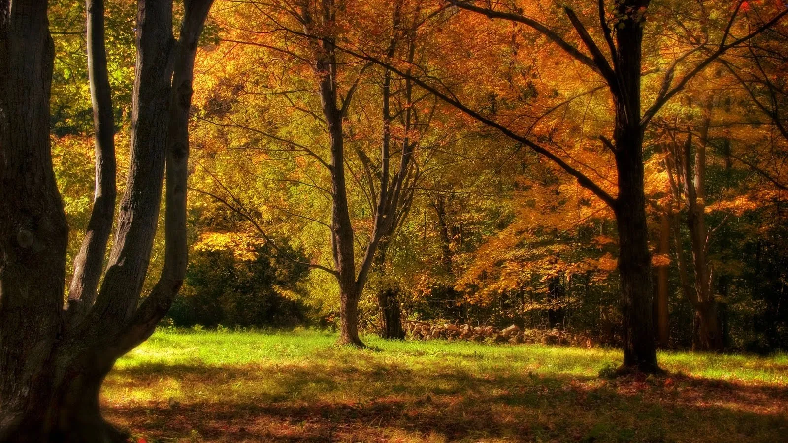 MariaJose: Paisajes HD