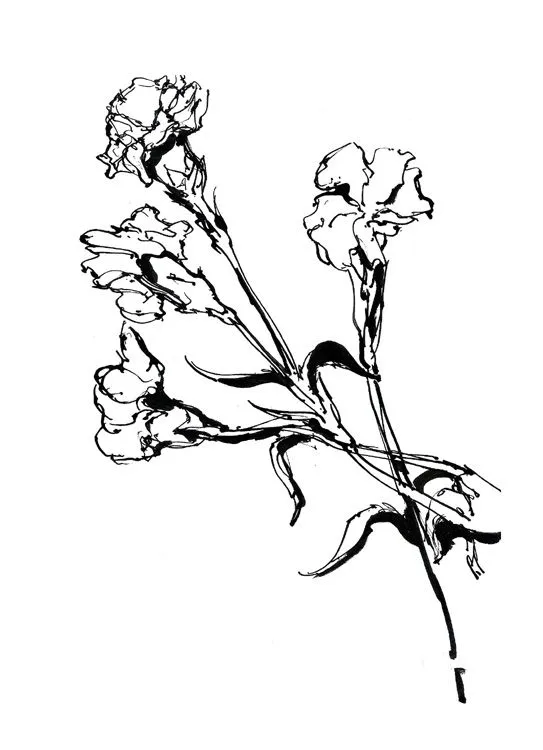 Mariano Espinosa.: Mundo vegetal XII: Flores a tinta.