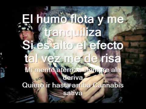 MARIHUANA- CARTEL DE SANTA - YouTube