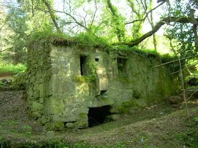 MARINA AL FIN: La casa animada