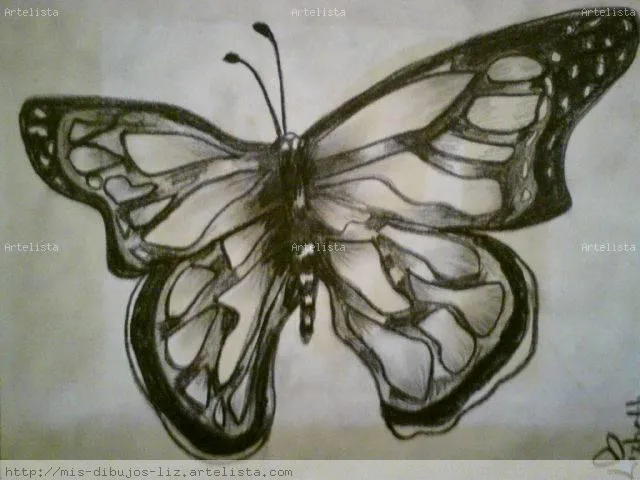 MARIPOSA Blanqa Lizzy RB - Artelista.com