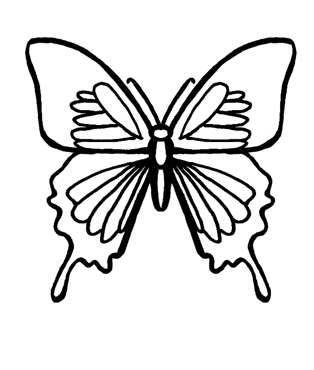 Mariposa para colorear