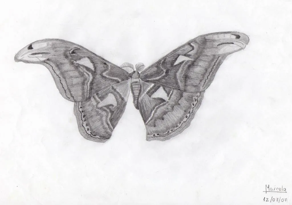 mariposa marcela marin - Artelista.