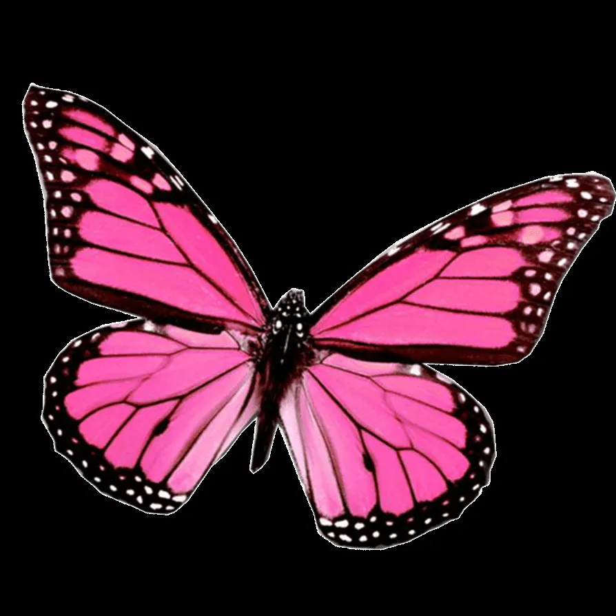 mariposa_png_by_juli_gonzalez-d4sjel6.png (894×894) | Clipart ...