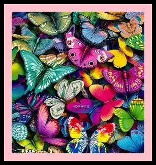 Mariposario-“la interacción con la naturaleza” Mariposario-“la interacción con la naturaleza”