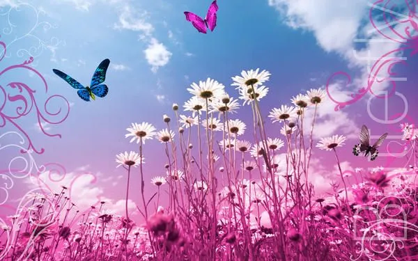 ஐ Mariposas ஐ ❀ - ❀ ஐ EL JARDIN DE CECI ஐ ❀ - Gabitos