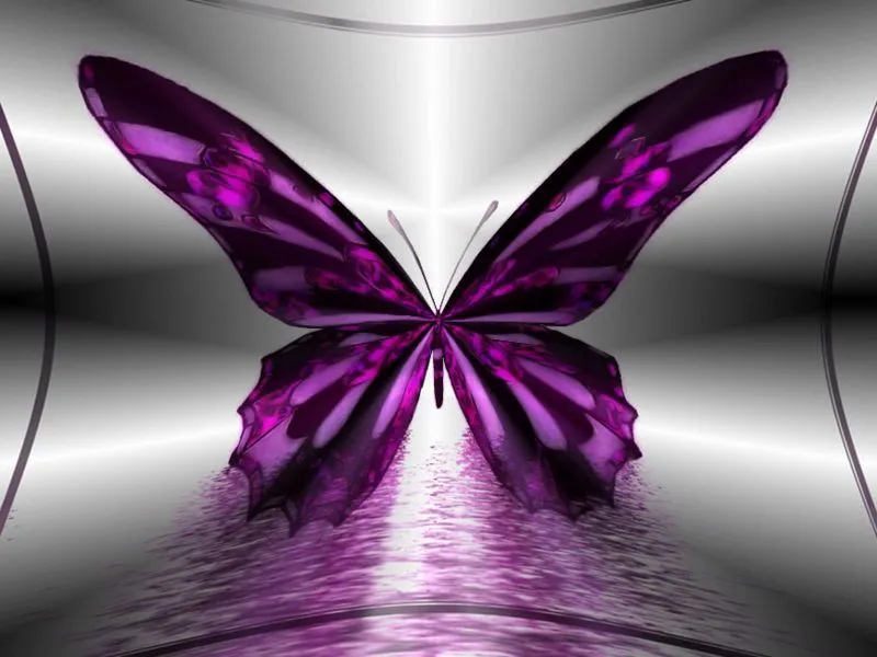 Mariposas bonitas moradas - Imagui