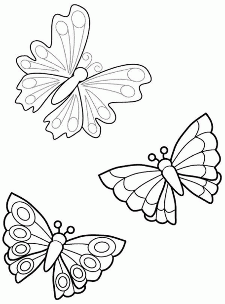 Fotos - Mariposas para colorear Foto Mariposa para colorear - L@MM ... Fotos - Mariposas para colorear Foto Mariposa para colorear - L@MM ...