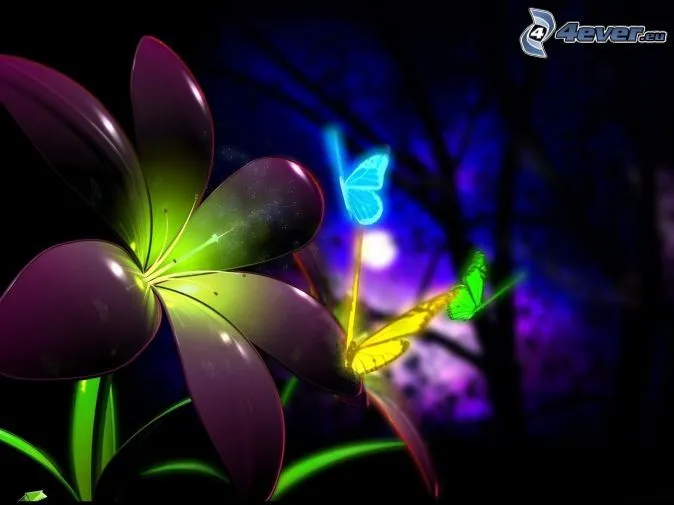 Mariposas de colores