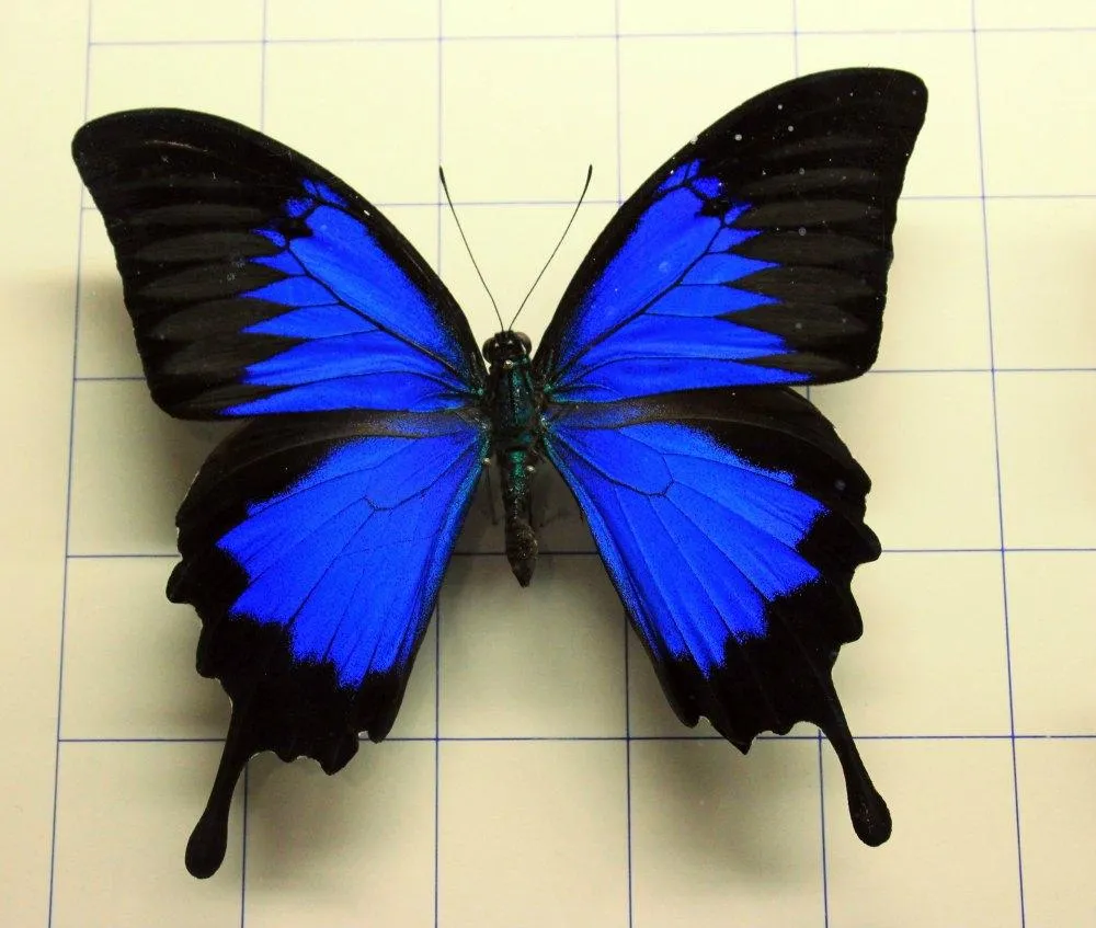 Museo de la Naturaleza y el Hombre - Paperblog