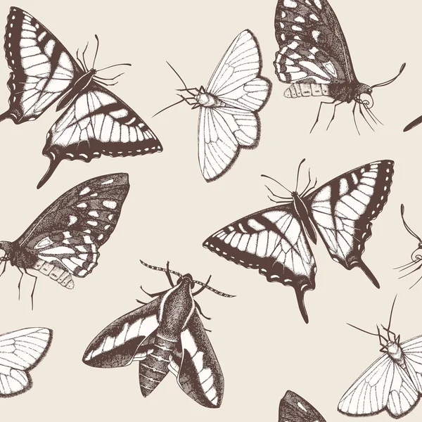 Mariposas dibujadas a mano — Vector stock © geraria #49797047 Mariposas dibujadas a mano — Vector stock © geraria #49797047