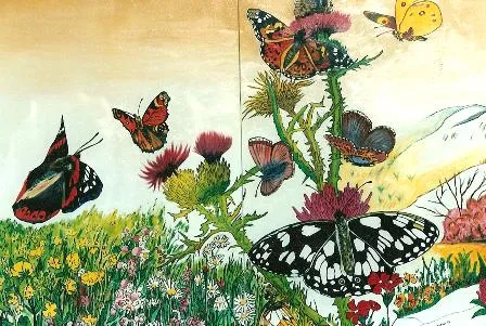 mariposas « Enrique Hoefnagel