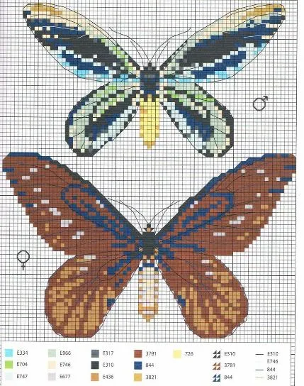 Mariposas, Esquemas gratis punto de cruz de mariposas | Tu Punto ... Mariposas, Esquemas gratis punto de cruz de mariposas | Tu Punto ...