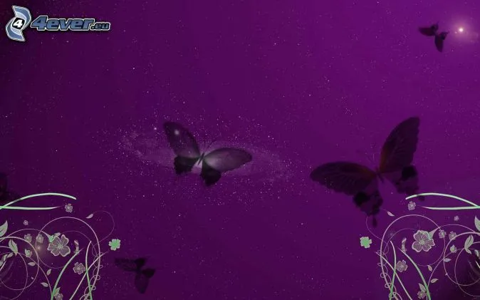 mariposas,-fondo-morado-238398.jpg