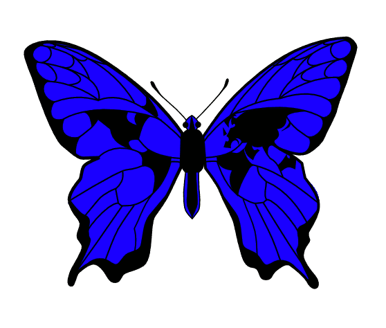 Alas de mariposa en formato png - Imagui