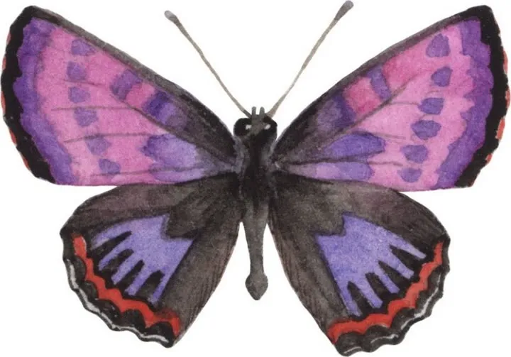 ... mariposas - Imagenes y dibujos para imprimir-Todo en imagenes y ... mariposas - Imagenes y dibujos para imprimir-Todo en imagenes y