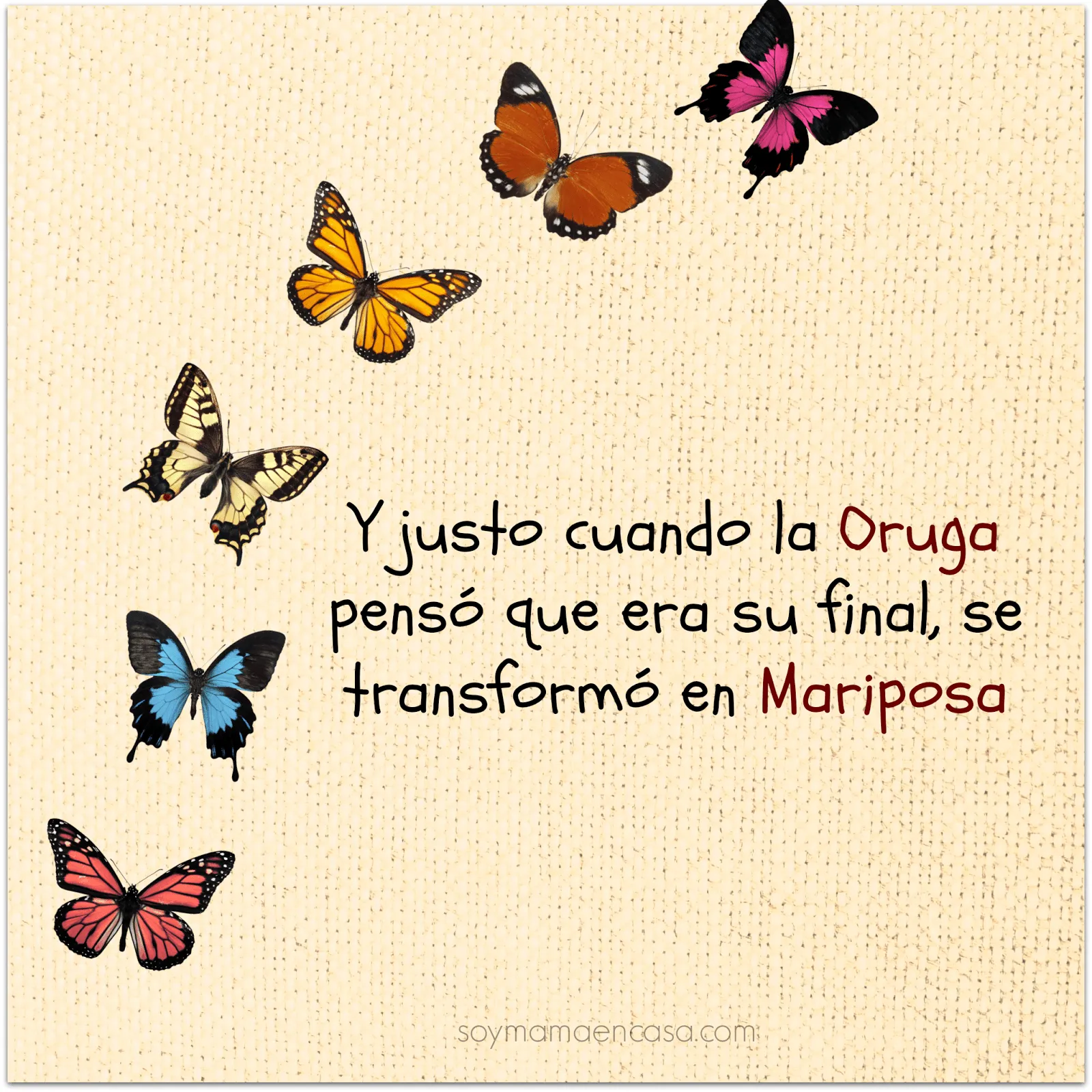 Mariposas - Soy Mamá en Casa