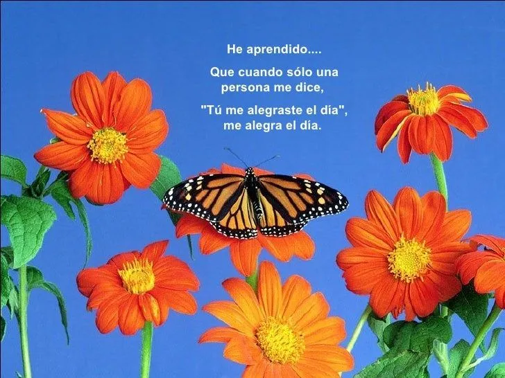 Mariposas mensajeras