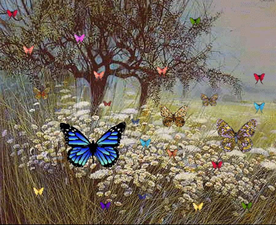 Mariposas en movimiento - Imagui