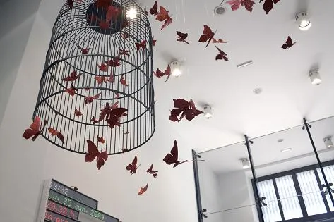 ... mariposas del mundo todas las que vuelan las dibujadas las que quedan ... mariposas del mundo todas las que vuelan las dibujadas las que quedan