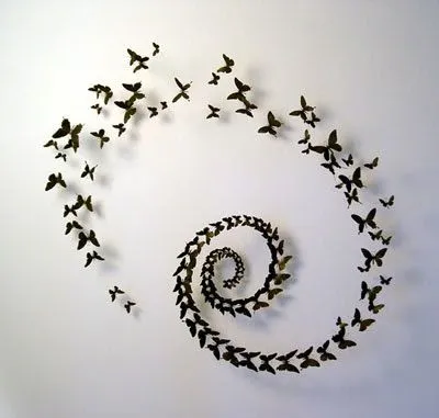 si pudiera tener todas las mariposas