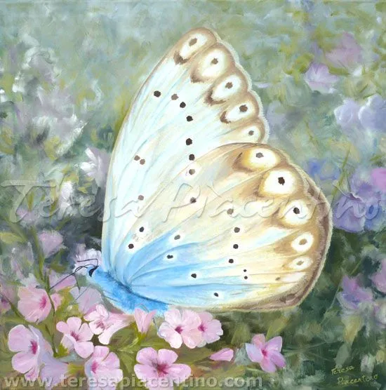 Mariposas al Oleo :: Cuadros Modernos al Oleo Mariposas al Oleo :: Cuadros Modernos al Oleo