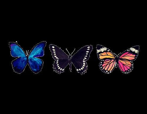 Mariposas PNG by fershh01 on DeviantArt