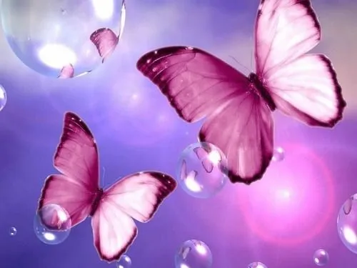 mariposas rosas | Tumblr