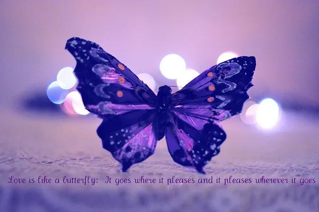 Mariposas Siderales - Paperblog