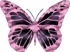 Mariposassss!!!