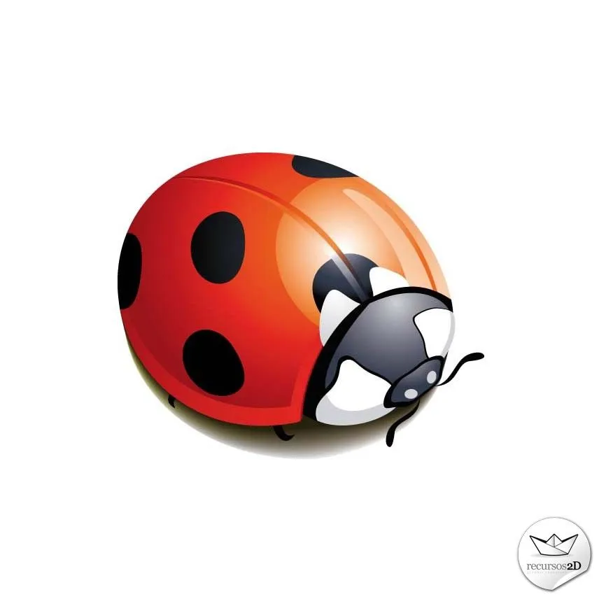 Mariquita / Vaca de San Antonio en vector (Ladybug Vector ... Mariquita / Vaca de San Antonio en vector (Ladybug Vector ...
