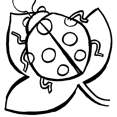 Mariquita para pintar - Imagui