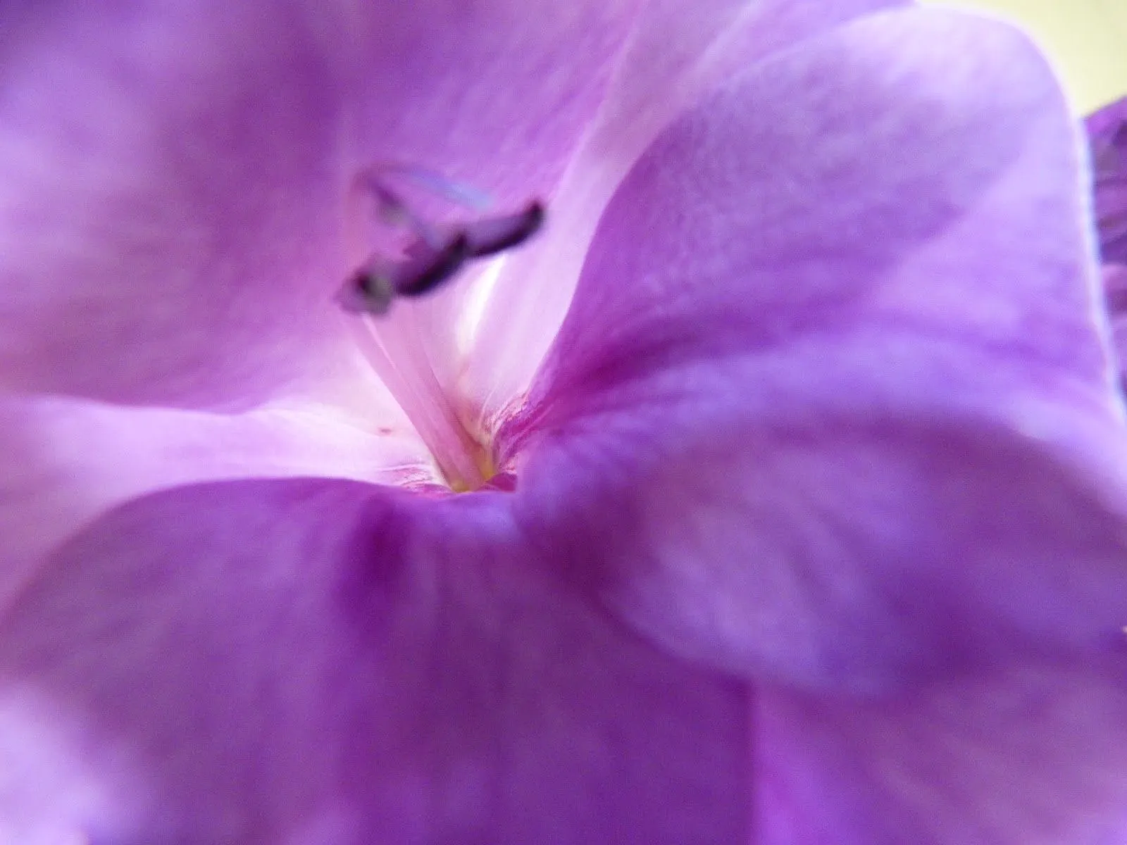 Marta Zabaleta: LONDRES: LAWRS: más talleres para mujeres ... Marta Zabaleta: LONDRES: LAWRS: más talleres para mujeres ...