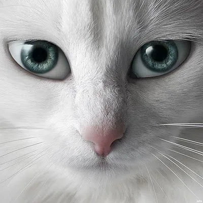 ojos azules llorando
