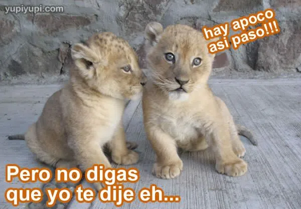 marzo | 2010 | Abigailsoruco's Blog