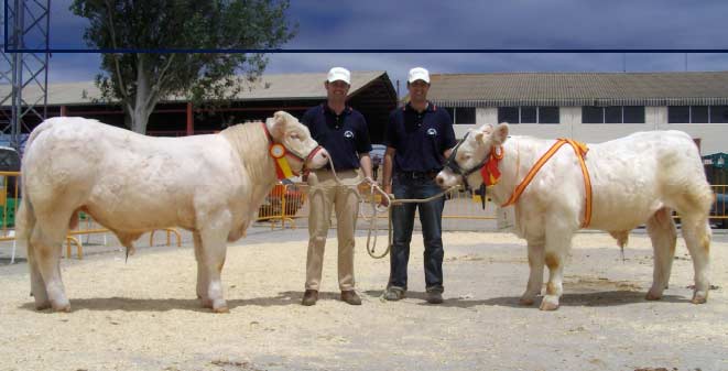 marzo | 2010 | Matravacas's Blog | Página 3