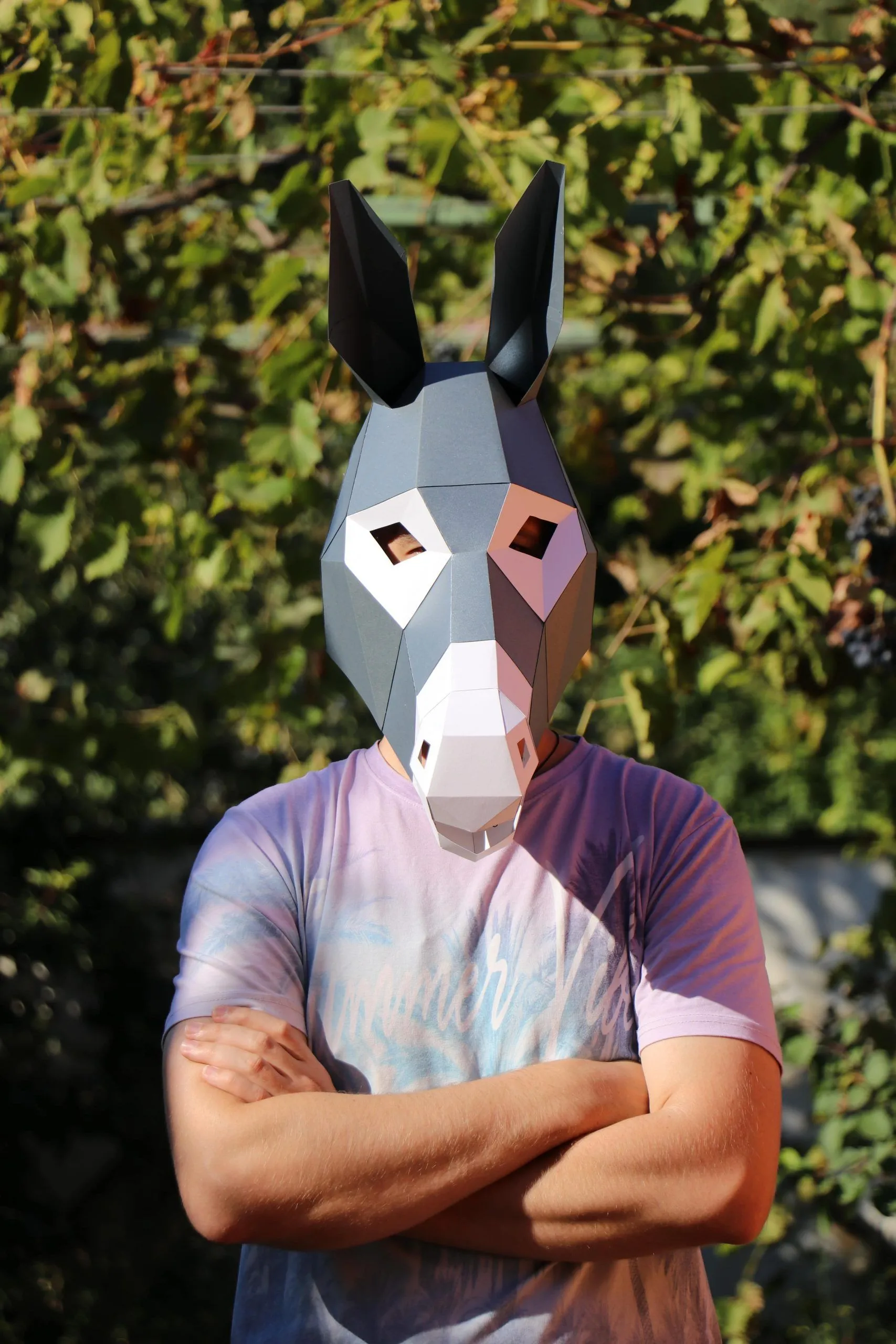 Máscara de burro DIY, Máscara Low Poly, Máscara de artesanía de papel, Plantilla de PDF Máscara 3D - LACRAFTA Máscara de burro DIY, Máscara Low Poly, Máscara de artesanía de papel, Plantilla de PDF Máscara 3D - LACRAFTA