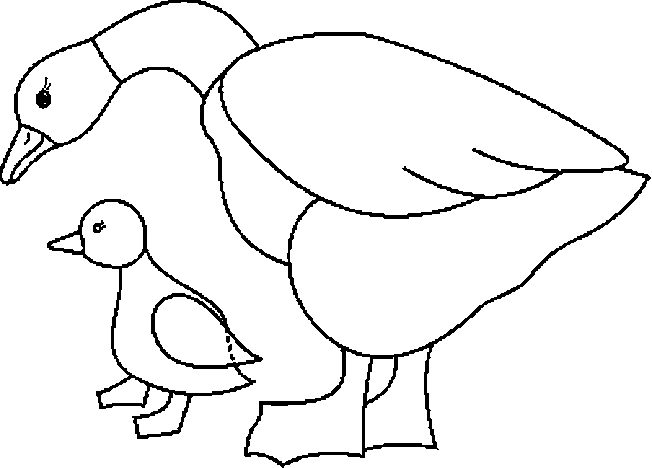 me pueden ayudar con patos??'