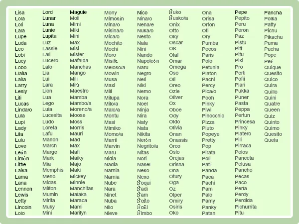 Nombres de animales con u - Imagui