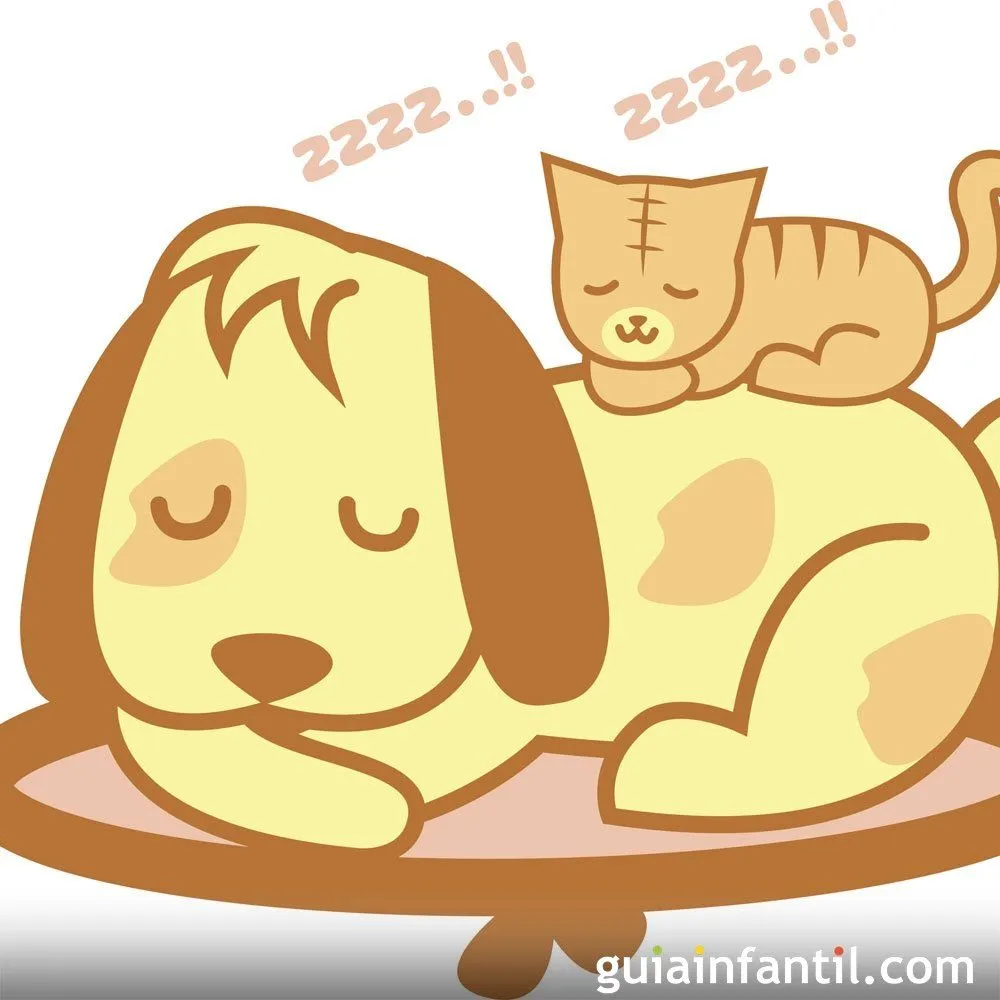 Mis mascotas. Poema corto con rima para niños Mis mascotas. Poema corto con rima para niños