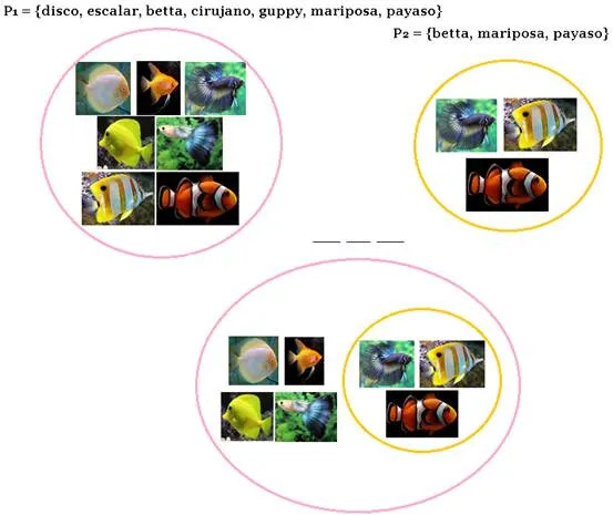 Matemáticas 5. Propiedades de los números enteros - Monografias.